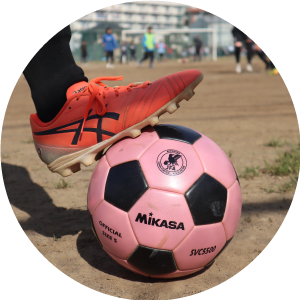 部活動 山村学園高等学校 部活動 山村学園高等学校