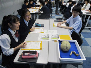 ＳＡ_国立科学博物館[２]｜山村学園高等学校